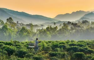 Exploring the Top Tourist Places in Bangladesh